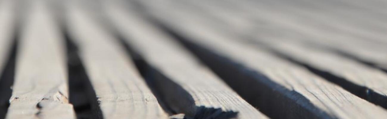 &copy; Foto: unserRadio / Susanne Riedl