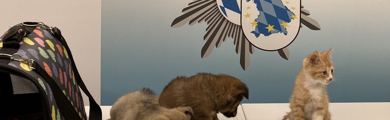 © Foto: Grenzpolizei Passau