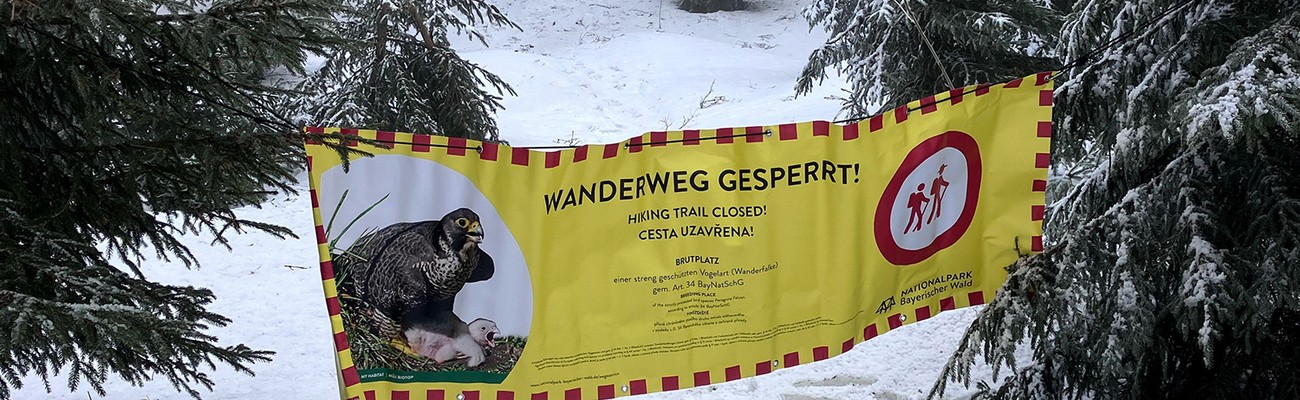 © Foto: Nationalparkverwaltung Bayerischer Wald