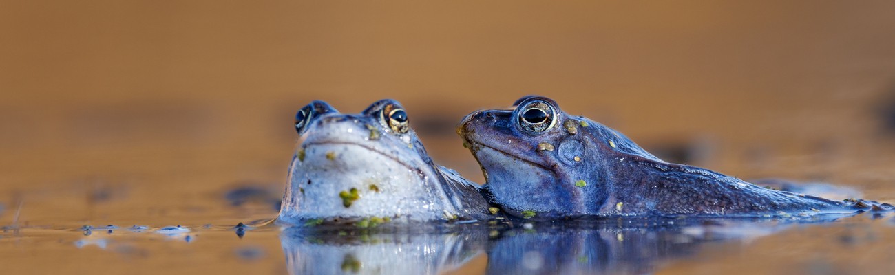 © Foto: Renate Ettl