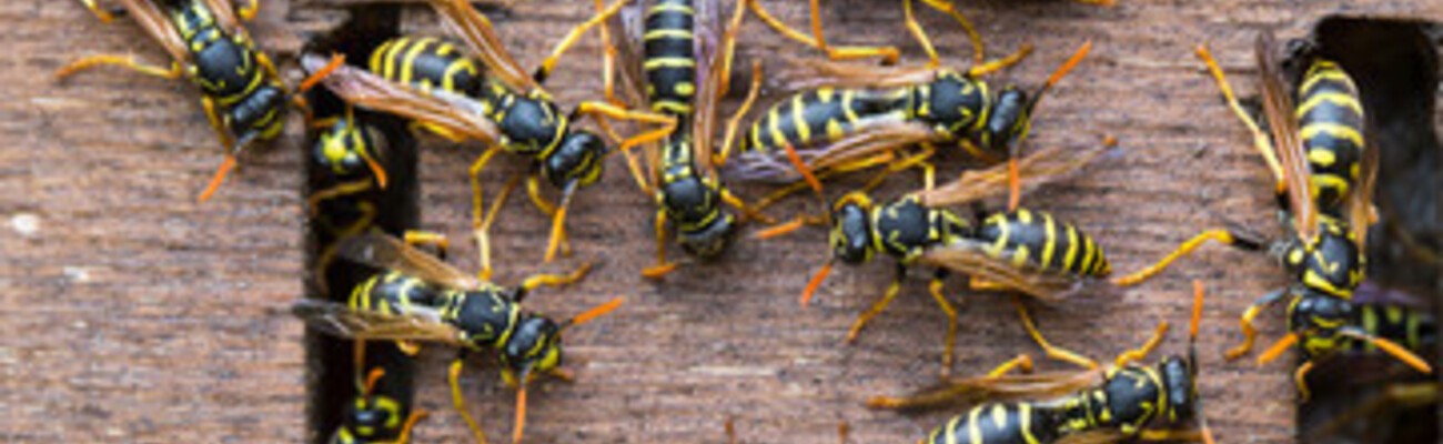 &copy; Foto: Fotolia