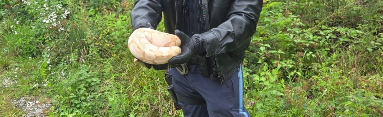 &copy; Foto: Polizeiinspektion Vilsbiburg