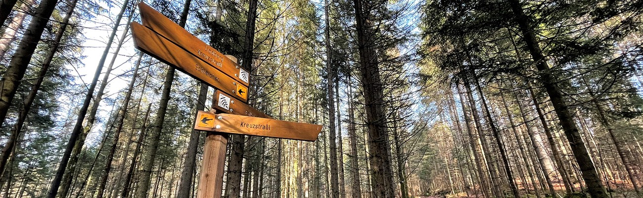 © Foto: Sandra Schrönghammer/Nationalpark Bayerischer Wald