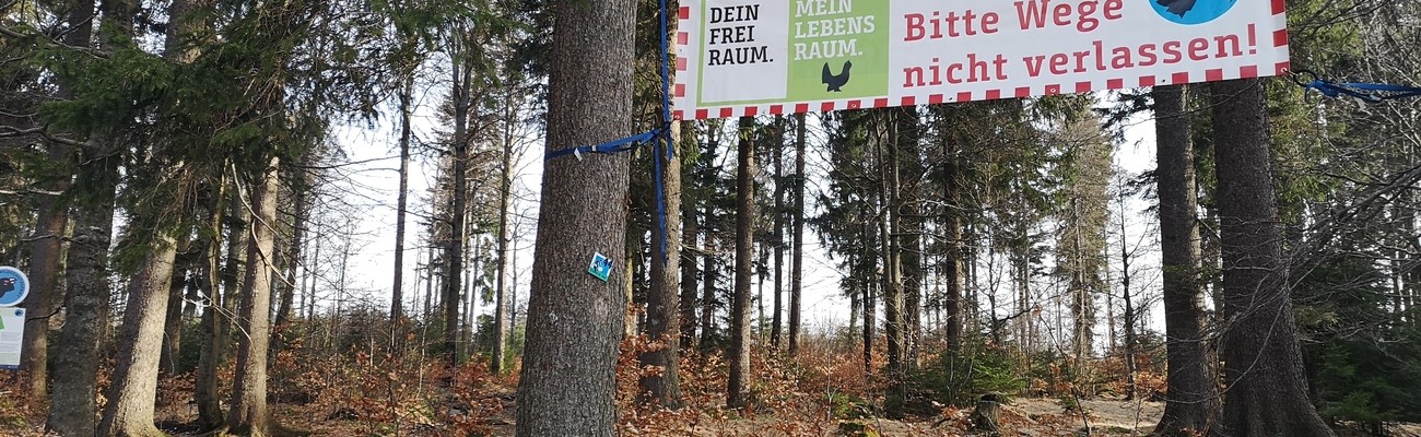 © Foto: Nationalpark Bayerischer Wald