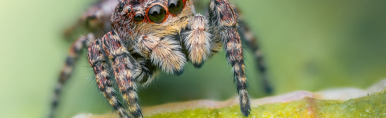 © Foto: Nationalpark