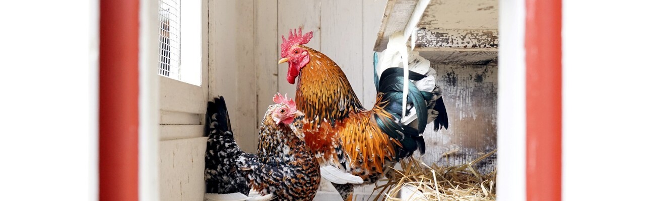 © Foto: Miriam Lange / Landkreis Regen.