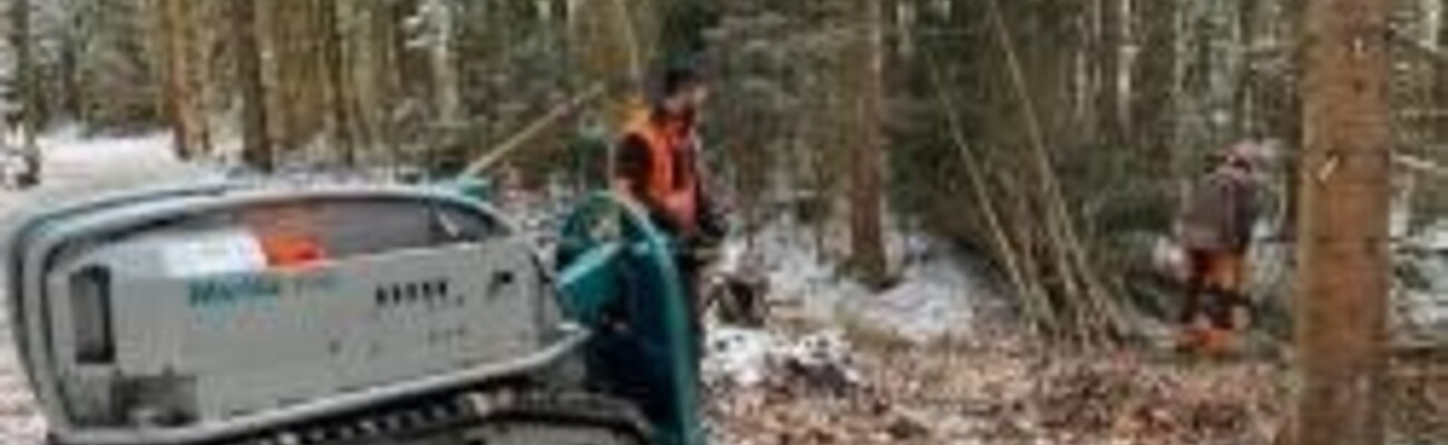 © Foto: Till Clos / Nationalpark Bayerischer Wald