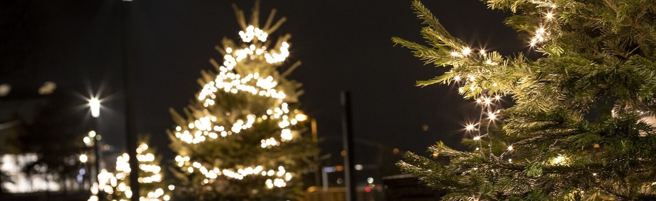 © Foto: Stadt Deggendorf