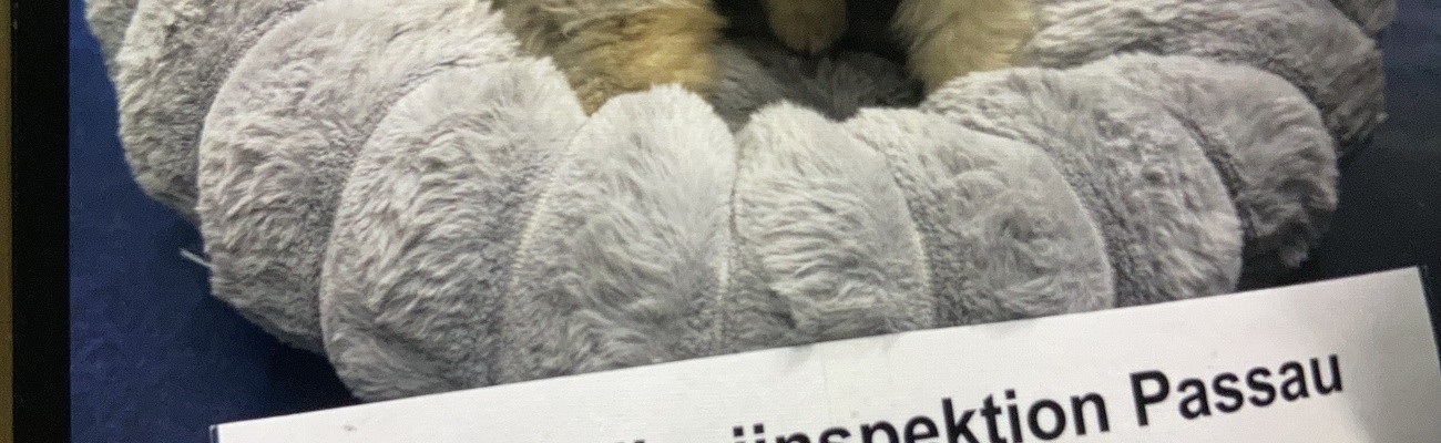 © Foto: Grenzpolizei Passau