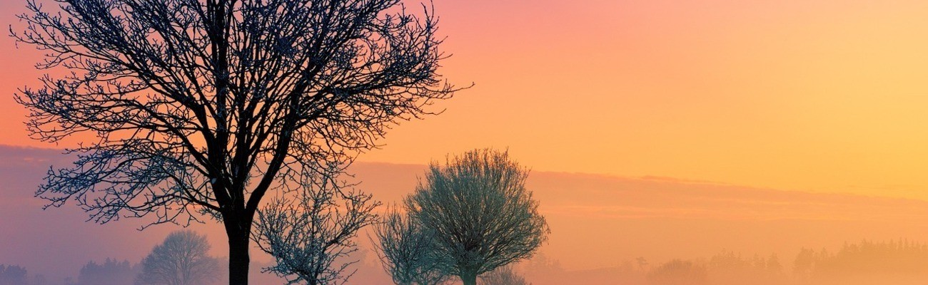 &copy; Foto: pixabay