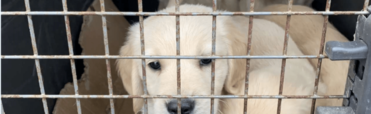 &copy; Foto: Polizeiinspektion Simbach a.Inn