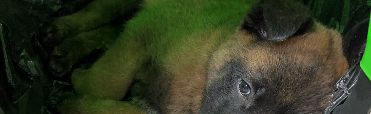 &copy; Foto: Polizeiinspektion Simbach am Inn